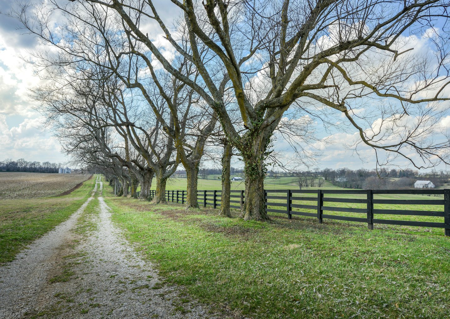 Gravel driveway leading through rural fields past bare trees.